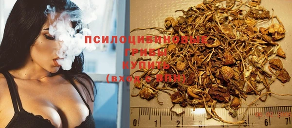 бошки Алзамай