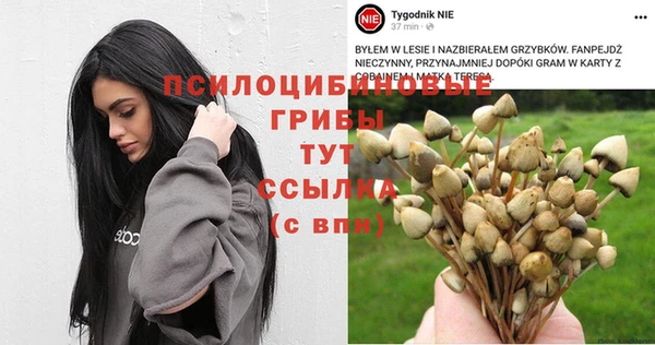 бошки Алзамай
