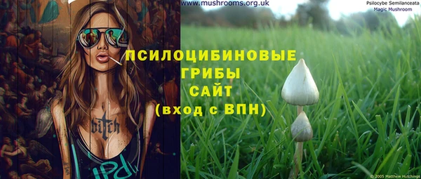 бошки Алзамай