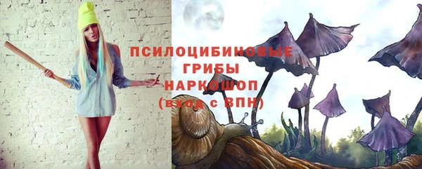 бошки Алзамай