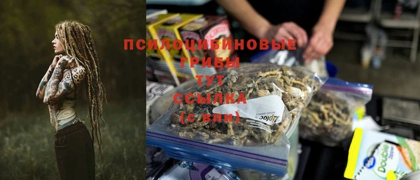 бошки Алзамай