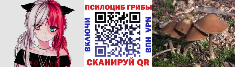 Псилоцибиновые грибы Magic Shrooms  Тула 